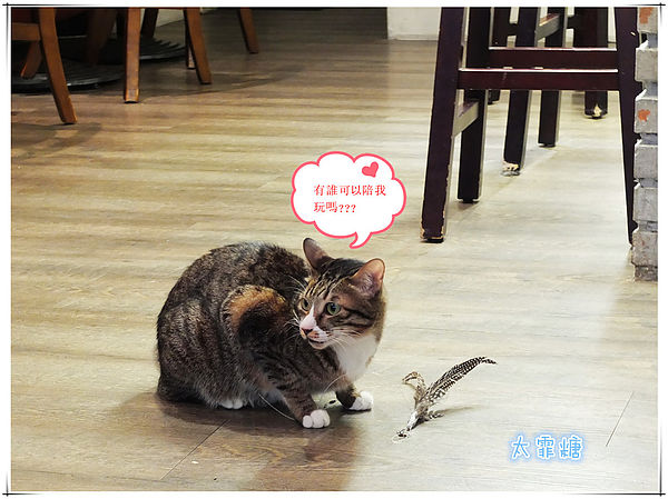 DSCF6873_副本_副本