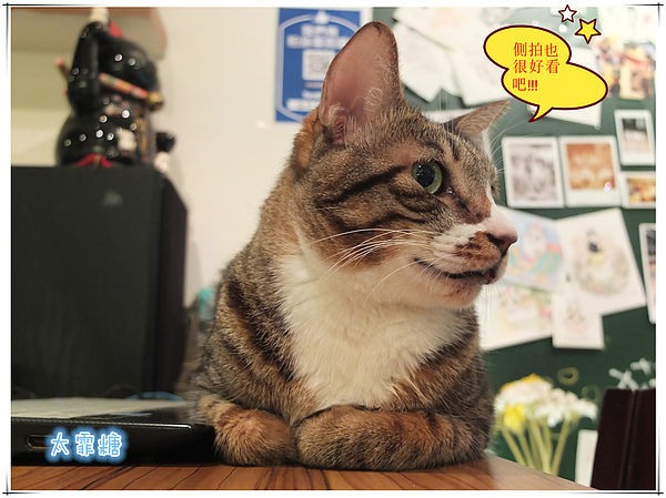 DSCF6949_副本_副本