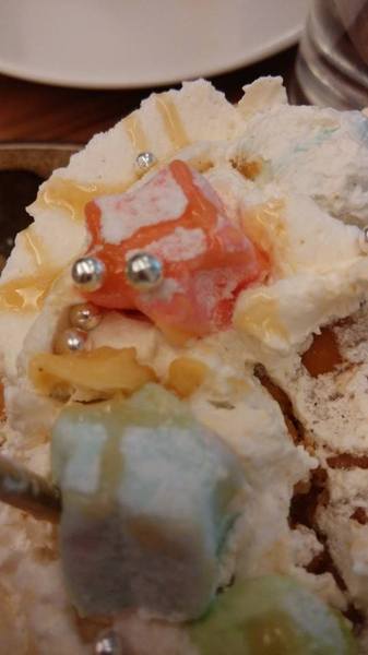 貓咪先生的朋友:*台北~東區 來看小貓咪 喵喵喵! 貓咪先生的朋友*