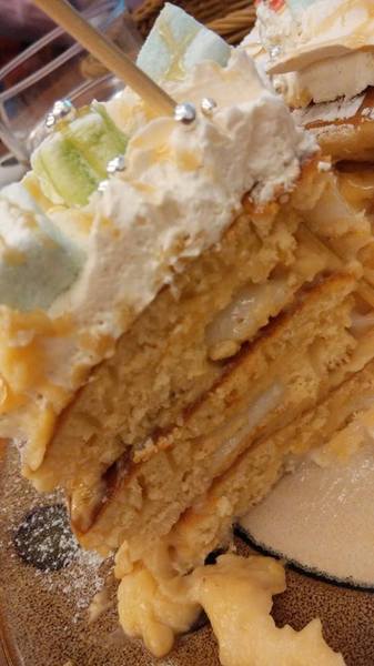 貓咪先生的朋友:*台北~東區 來看小貓咪 喵喵喵! 貓咪先生的朋友*