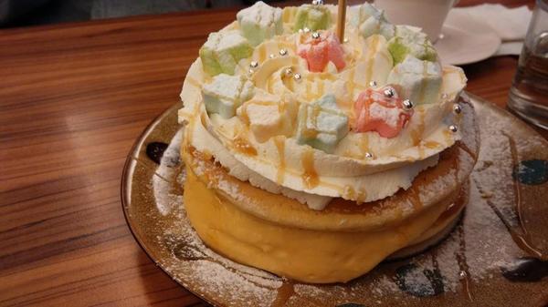 貓咪先生的朋友:*台北~東區 來看小貓咪 喵喵喵! 貓咪先生的朋友*