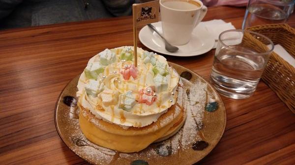 貓咪先生的朋友:*台北~東區 來看小貓咪 喵喵喵! 貓咪先生的朋友*