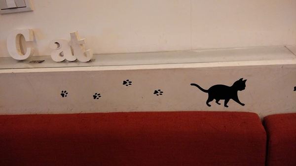 貓咪先生的朋友:*台北~東區 來看小貓咪 喵喵喵! 貓咪先生的朋友*