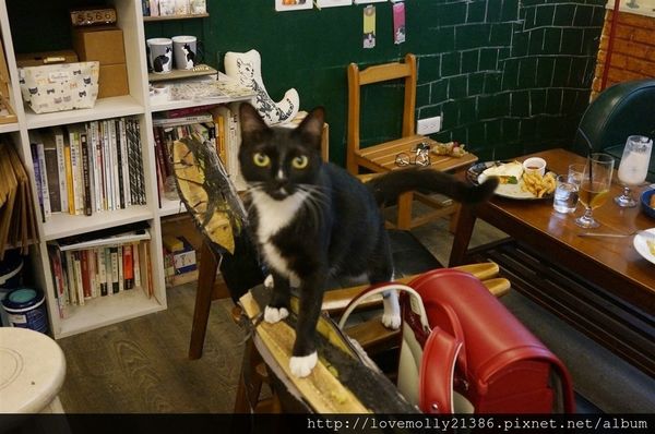 DSC00428_renamed_22059