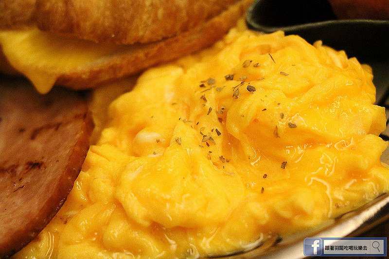 貓咪先生的朋友53