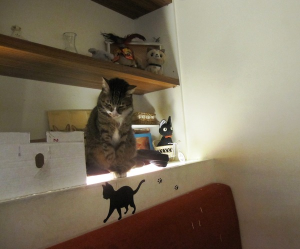 貓咪先生的朋友:*口碑券*貓咪先生的朋友~有可愛胖貓和甜蜜鬆餅的店