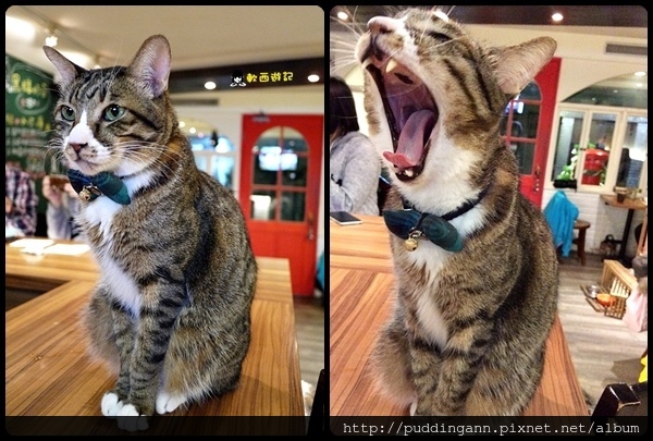 2016-01-11 20.14.16.jpg