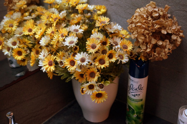 貓咪先生的朋友:(胖樺食記)台北市忠孝復興捷運站愛貓者的天堂「貓咪先生的朋友」。提供早午餐漢堡輕食下午茶及輕鬆環境。