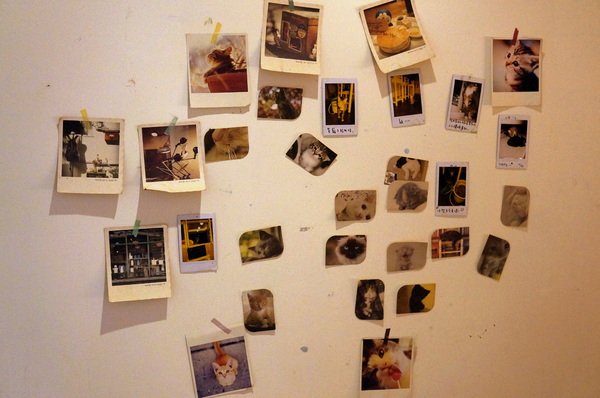 貓咪先生的朋友:(胖樺食記)台北市忠孝復興捷運站愛貓者的天堂「貓咪先生的朋友」。提供早午餐漢堡輕食下午茶及輕鬆環境。