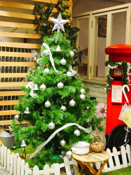 貓咪先生的朋友:【貓咪先生的朋友】 料多實在的豐盛早午餐 !! 貓咪乖巧 環境溫馨