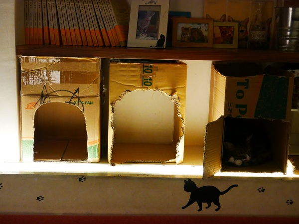 貓咪先生的朋友:【貓咪先生的朋友】 料多實在的豐盛早午餐 !! 貓咪乖巧 環境溫馨