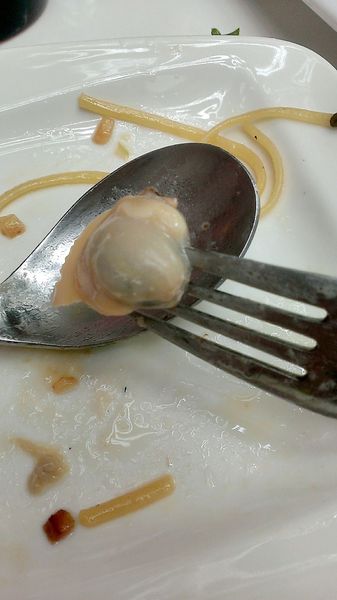 Alice Cafe 愛麗絲咖啡:【食記】充滿少女心卻也很適合男生的Alice Cafe 愛麗絲咖啡