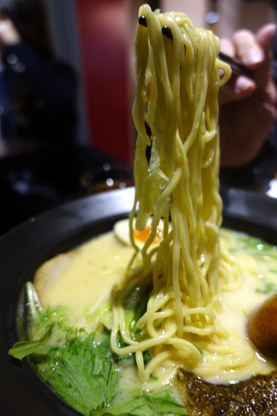 樂麵屋：(胖樺食記)永康街及東區推薦美食「樂麵屋」。不收一成服務費且可以無限加麵。拉麵湯頭叉燒糖心蛋都好吃