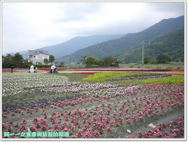關山鎮農會米國學校(089-810-138):台東關山景點 米國學校/關山花海 賞花吃好米~阿一一寒冬台東之旅