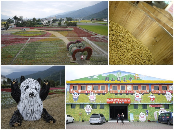 關山鎮農會米國學校(089-810-138):台東關山景點 米國學校/關山花海 賞花吃好米~阿一一寒冬台東之旅