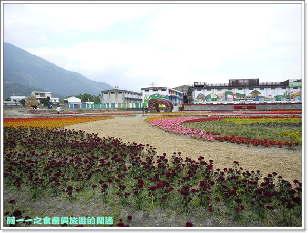 關山鎮農會米國學校(089-810-138):台東關山景點 米國學校/關山花海 賞花吃好米~阿一一寒冬台東之旅