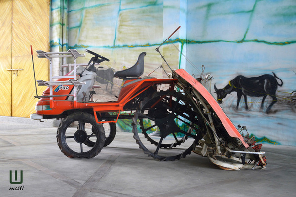 關山米國學校:台東|關山米國學校、古早味大碗公飯 一年僅二收的限定美味 重新找回吃米的原味感動