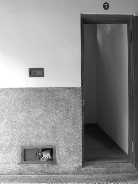 獄政博物館:((嘉義))獄政博物館‧嘉義舊監獄