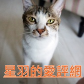 獅兄弟風味小酒館：※ 獅兄弟風味小酒館 ※ 平價消費神級享受，超新鮮辣沙公麵線和黃金海鮮鍋，沒吃過真的會後悔~!!!!