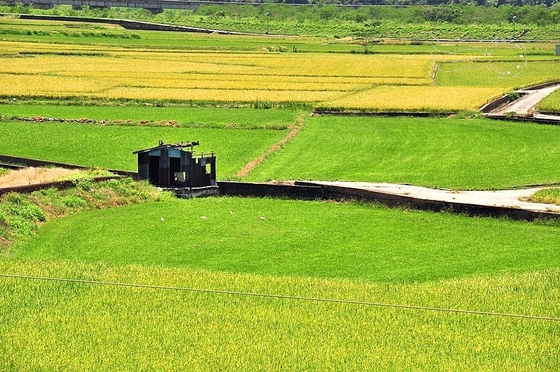 花東縱谷風光