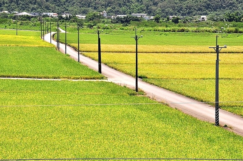 花東縱谷風光