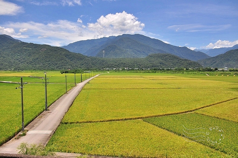 花東縱谷風光