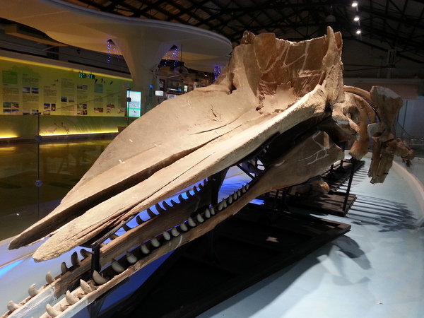 北門遊客中心：[台南][景點]北門遊客中心~通往幸福的教堂