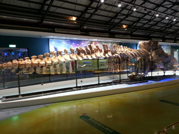 北門遊客中心：[台南][景點]北門遊客中心~通往幸福的教堂