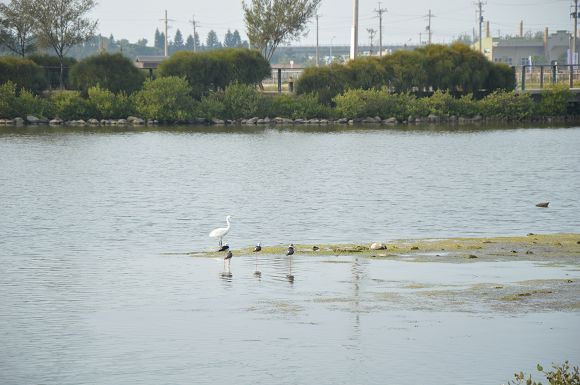 北門遊客中心23