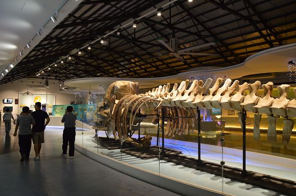 北門遊客中心48