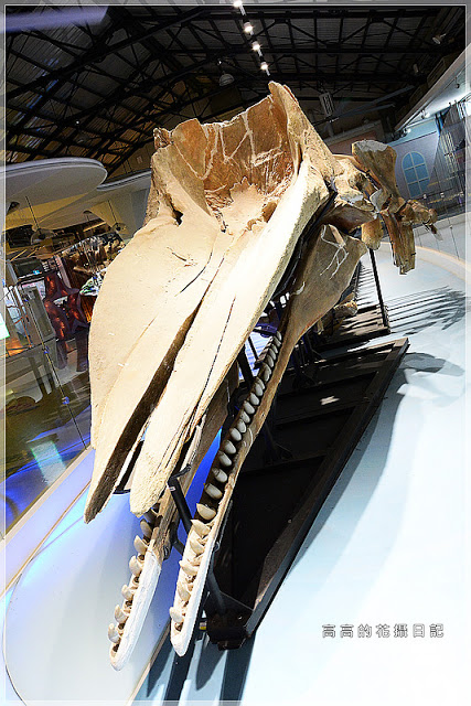 北門遊客中心：【臺南】北門區。北門遊客中心 北門水晶教堂