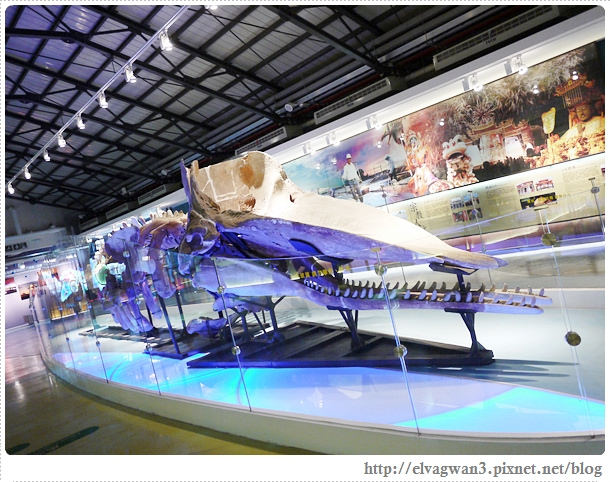 台南-北門遊客中心-10-1-342-1