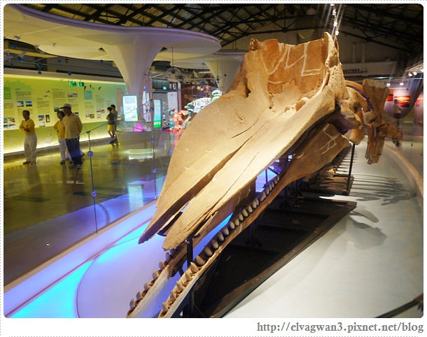 台南-北門遊客中心-10-376-1