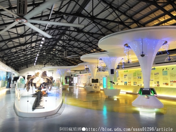 北門婚紗美地文創園區：【旅行遊記。台南北門區】北門遊客中心& 北門婚紗美地。美到爆表的彩繪藝術 幸福夢幻超人氣拍照景點