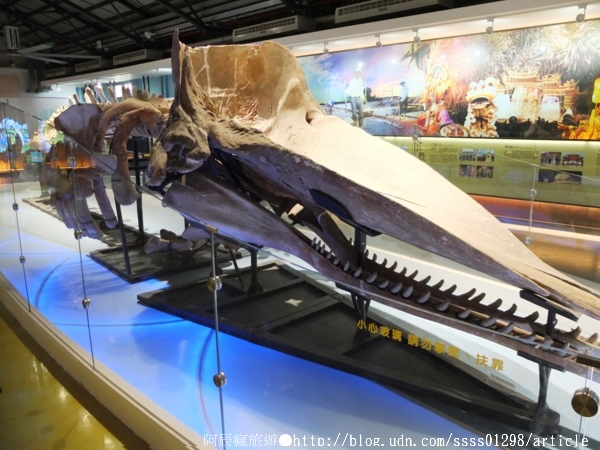 北門婚紗美地文創園區：【旅行遊記。台南北門區】北門遊客中心& 北門婚紗美地。美到爆表的彩繪藝術 幸福夢幻超人氣拍照景點