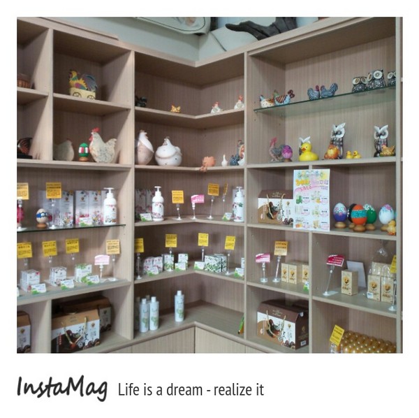 桂園自然生態農場：有趣的彩蛋大觀園&桂園自然生態農場