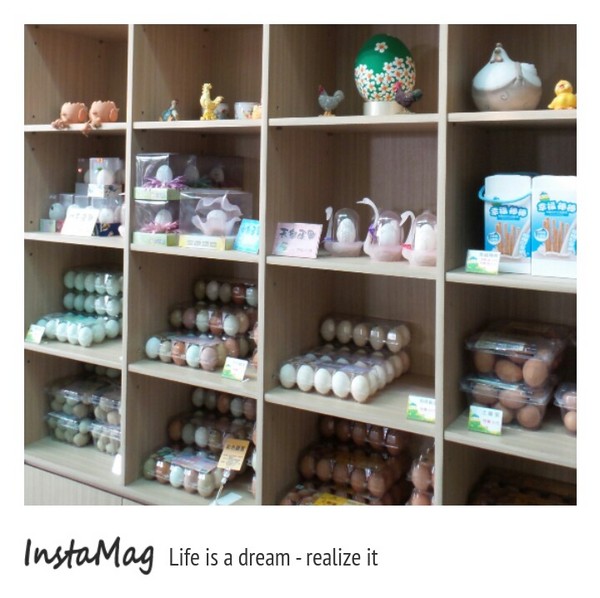 桂園自然生態農場：有趣的彩蛋大觀園&桂園自然生態農場