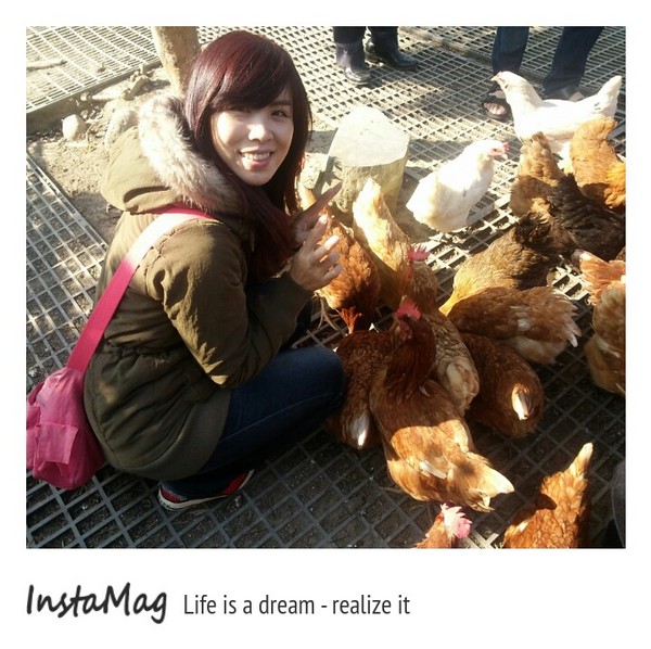 桂園自然生態農場：有趣的彩蛋大觀園&桂園自然生態農場