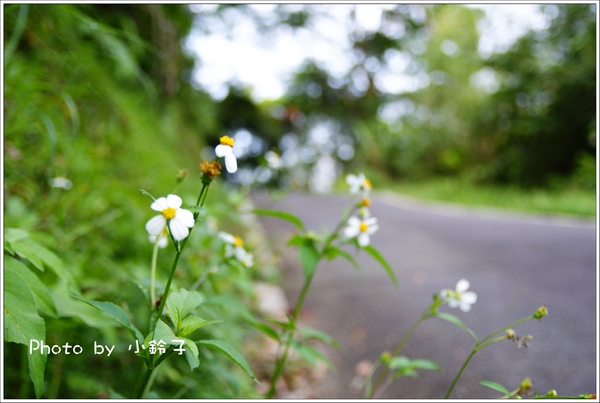 石碇千島湖：石碇秘境~歹丸也有「千島湖」!~