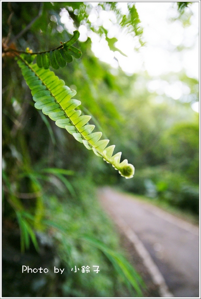 石碇千島湖：石碇秘境~歹丸也有「千島湖」!~
