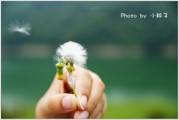 石碇千島湖：石碇秘境~歹丸也有「千島湖」!~