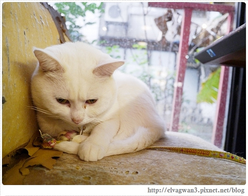 食我ladies-台北-中正區-捷運小南門站-北義極品咖啡-早午餐-下午茶-咖啡-手做甜點-秒殺蛋糕-比利時生啤酒-水果啤酒-37-088-1