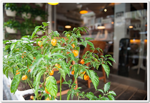 好米亞:【台北市】隱身巷弄的美食「好米亞 Goodies Cuisine」激推**花心造型派**