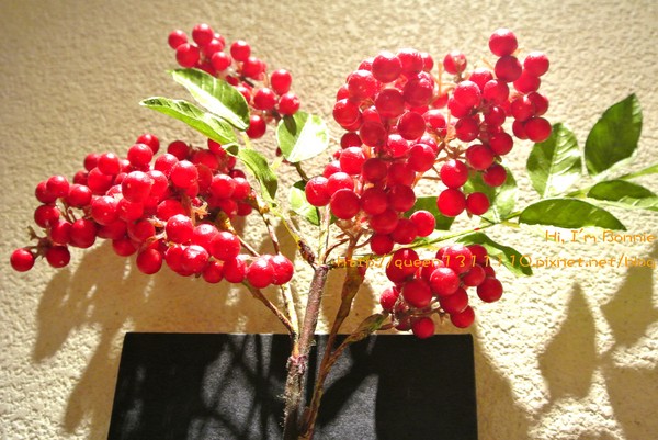 屯京拉麵：[美食]台北♥來自日本溫順辣感的麻辣豚骨叉燒拉麵♥屯京拉麵