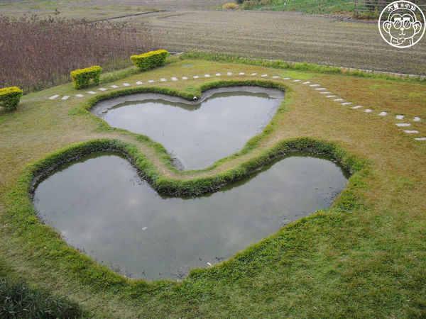 雙心池塘:作伙來企投【彰化大村・雙心池塘】彰化熱門打卡景點