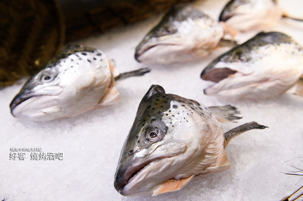 好客 音樂料理現場LIVE演唱(市府店):【邀約|好客燒烤市府店】大蝦、生蠔、干貝、戰斧牛排燒烤吃到飽 Q彈帝王蟹剔牙!! 還有LIVE演奏陪你烤!!