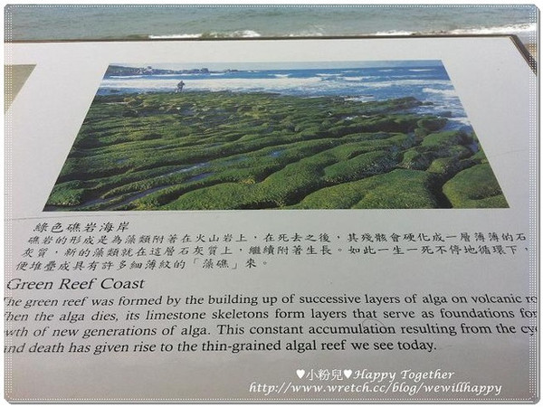 石門風箏公園：❤遊記❤├新北市石門┤石門風箏節。風箏公園+老梅石槽♥