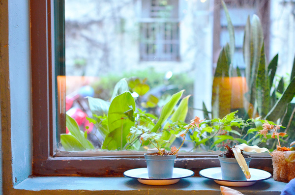 INO ICE(草悟道店)：『台中||西屯區』綠園道日式散步甜食&特色飲品-ino ice雞蛋糕