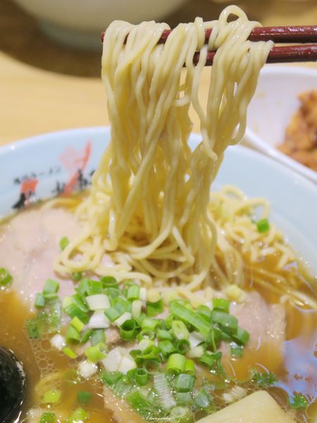 梅光軒(台北101店)：台北 捷運101站 梅光軒~米其林推薦之北海道三大拉麵品牌