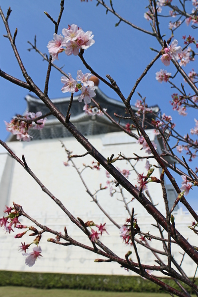 波隆納世界插畫大展(台北站)：插畫界的最高榮譽殿堂「波隆納世界插畫大展」中正紀念堂/展覽/插畫界的奧斯卡